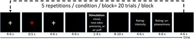 High-Density Electroencephalography-Informed Multiband Functional Magnetic Resonance Imaging Reveals Rhythm-Specific Activations Within the Trigeminal Nociceptive Network